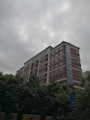 门面-复旦大学附属妇产科医院(杨浦院区)