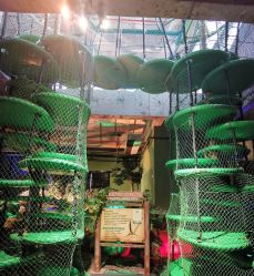 -恐龙探索乐园(磁器口店)