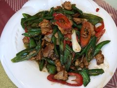 辣椒炒肉-哈尔滨阳光饺子园(阳光花园店)