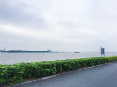 -海鸥岛