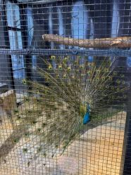 -酷嗒动物文化乐园(cutezoo西溪乐天城店)