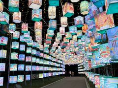 -洋湖国家湿地公园