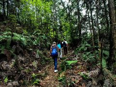 -梭布垭石林景区