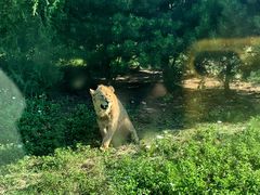 -西安秦岭野生动物园