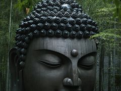 -杭州植物园