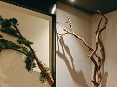 -上足·影院足道·SPA(红岭店)
