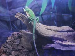 -梦幻海洋王国(吾悦广场张家港店)