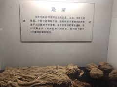 -水洞沟旅游区