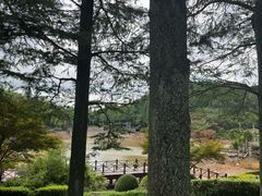 -四明山国家森林公园
