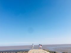 -南汇嘴观海公园