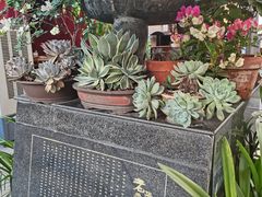 -老鼎万春卤菜(五代传承创始老店)