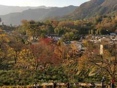 -黄山翡翠谷景区
