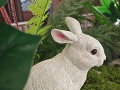 -纪林菜馆·博山菜老字号(八大局店)