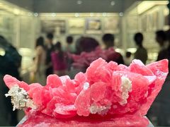 -中国地质博物馆