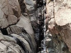 -赵记煎饼卷大葱(泰山大街店)