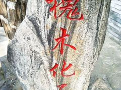 -大槐树寻根祭祖园