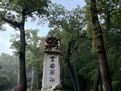 -灵谷景区