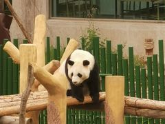 -沈阳森林动物园