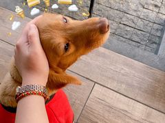 -星巴克(珠海仁恒滨海中心店)