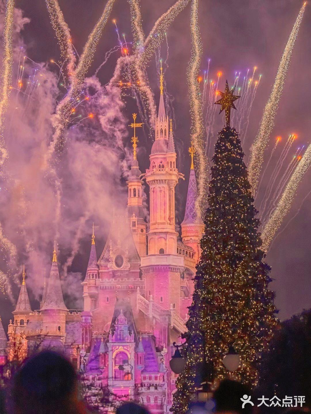 迪士尼圣诞季才是游乐园正确打开方式吧🎄