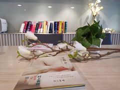 -白玉兰商务酒店(沈阳陆军总院店)