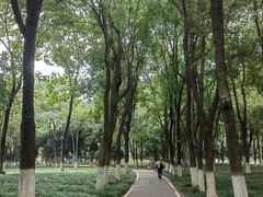 -后襄河公园