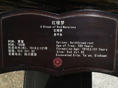 -乐山乌木文化博览苑