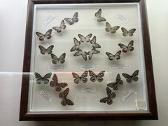 -陕西自然博物馆