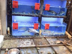 水产区-浩家苑菜馆(汉口路店)