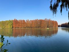 -上海海湾国家森林公园