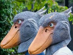 -成都濑川外国语学校