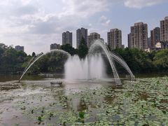 -龙头寺公园