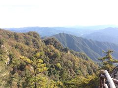 -王顺山国家森林公园