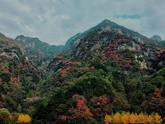 -秦岭终南山世界地质公园翠华山景区
