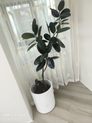 -HEYAN荷妍专业脱毛连锁机构