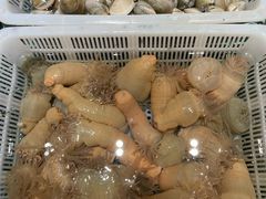 -印象天台·非遗文化美食