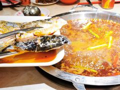 -蜀滋香鲜鱼美蛙火锅(339店)