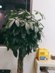 -悦·臻时美发沙龙