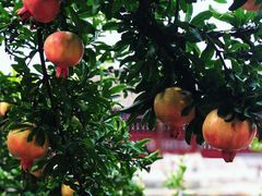 -南京金牛湖风景区