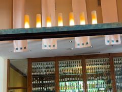 -拉萨瑞吉酒店-秀餐厅