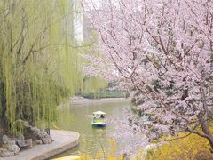 -团结湖公园