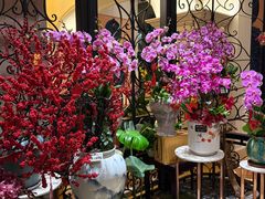 -深圳威尼斯英迪格酒店