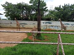 -昆明动物园