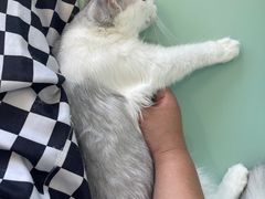 -怪兽屋·羊驼·猫咖·狗咖(俊华广场店)