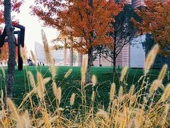 -清华大学-清芬园