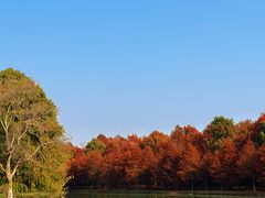 -上海海湾国家森林公园