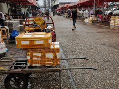 -马王堆海鲜水产市场