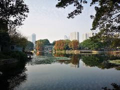 -荔湾湖公园