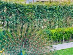 -J Create城市露营咖啡·简餐·宠物(上海动物园店)