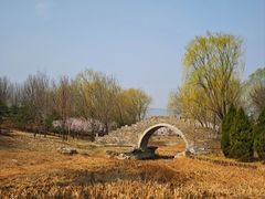 -北坞公园